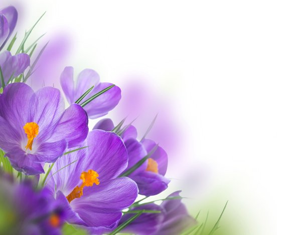 Поздравление с 8 марта