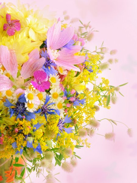 Креативное поздравление с 8 марта