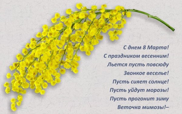 Красные тюльпаны