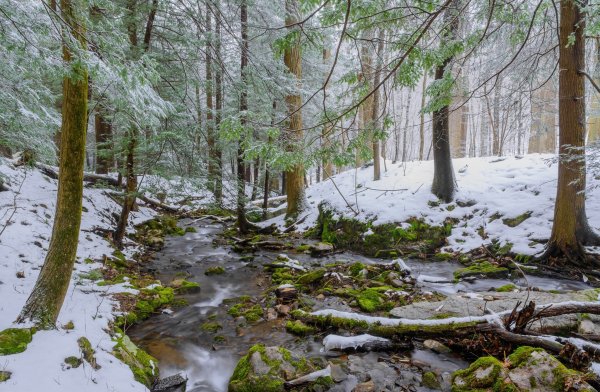 Апрельские ручьи