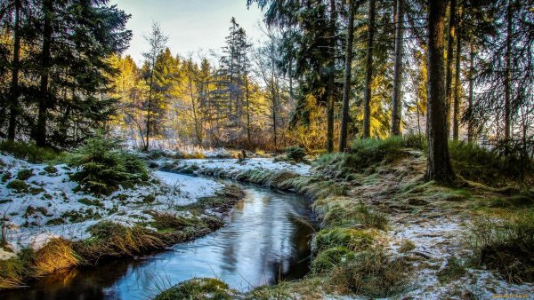 Река (ранняя Весна) Исаак