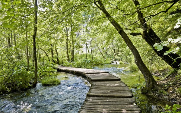 Ранняя Весна в Сибири