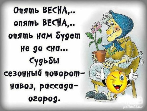 Цитаты про холодную весну