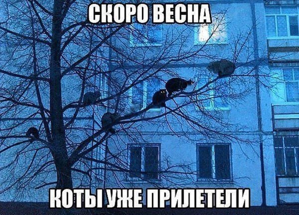 Статусы про весну