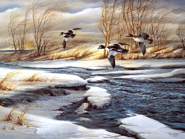 Терри Редлин зимние гуси