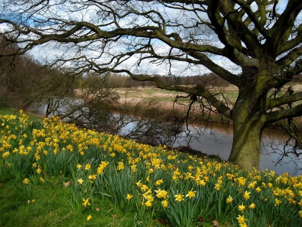 Ранняя Весна