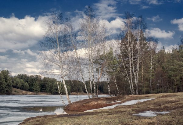 Ранняя Весна пейзаж