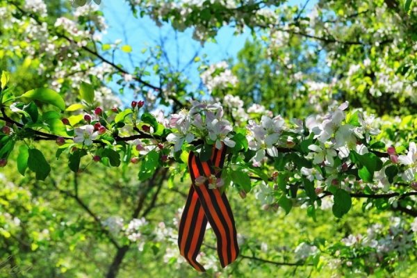 Весна в мае