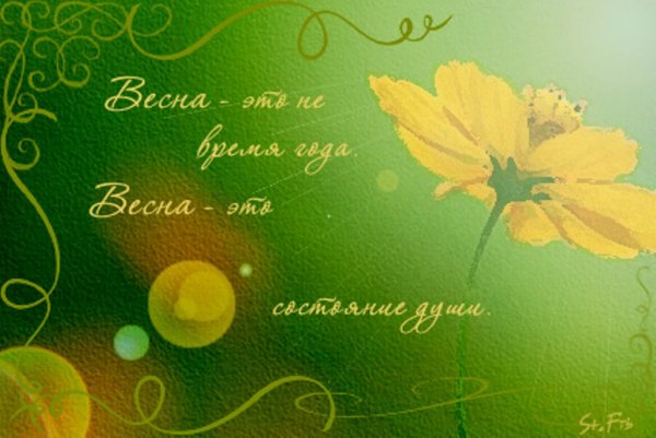 Красивые фразы про весну