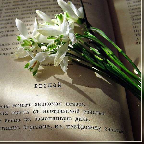 Красивые высказывания о весне