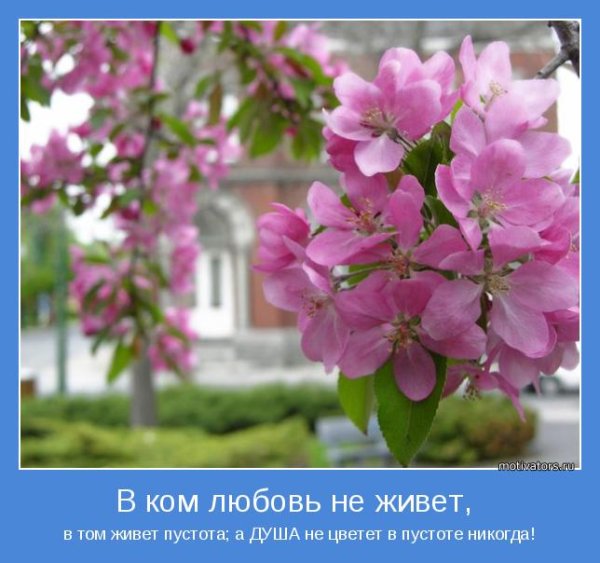 Весна мотиватор