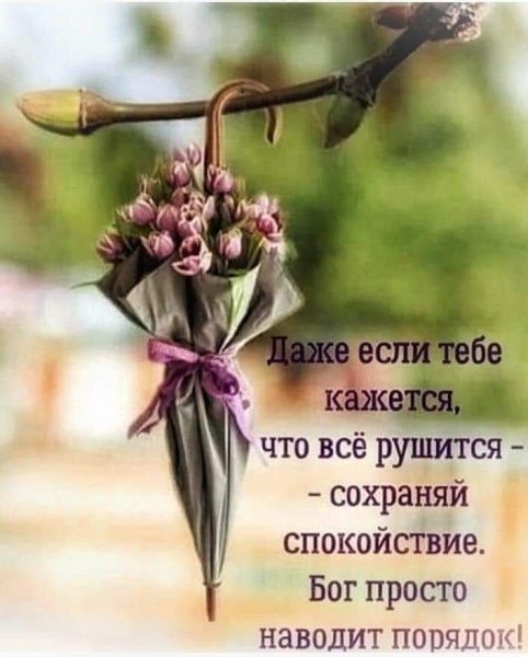 Хорошее настроение цитаты