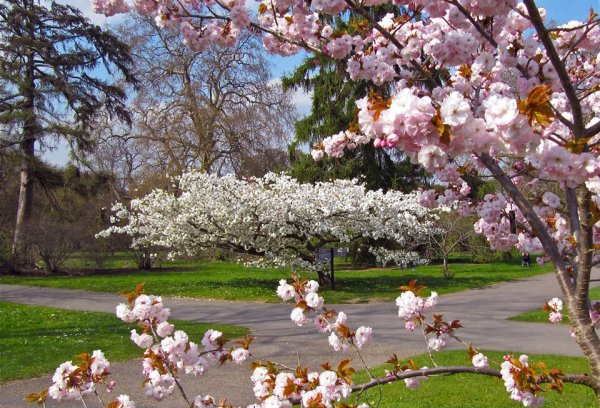 Поздняя Весна