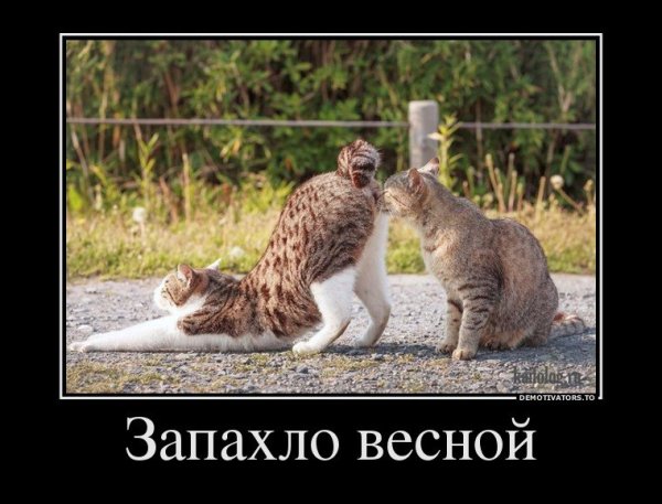 Приколы про весну