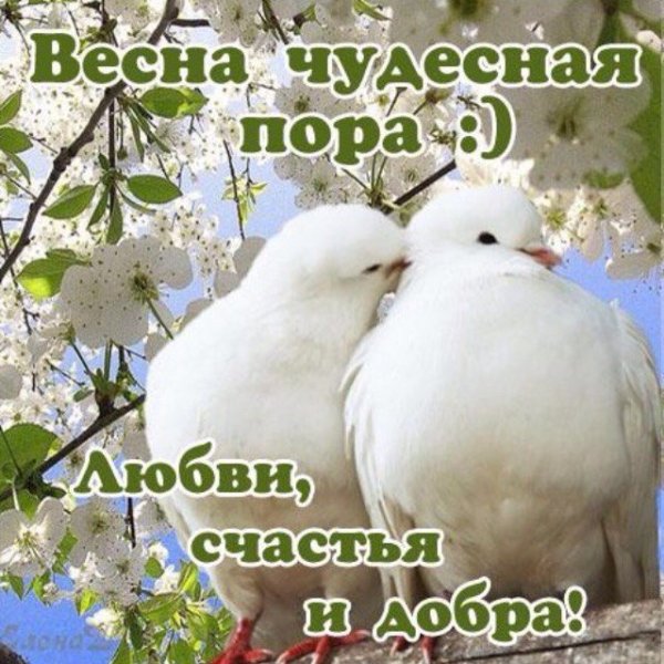 С первым днем весны