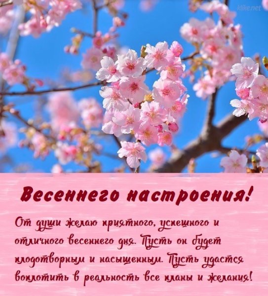 Утро апрель желтый