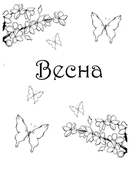 Раскраска цветы и птицы