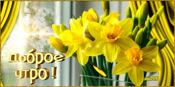 Доброе утро Весна