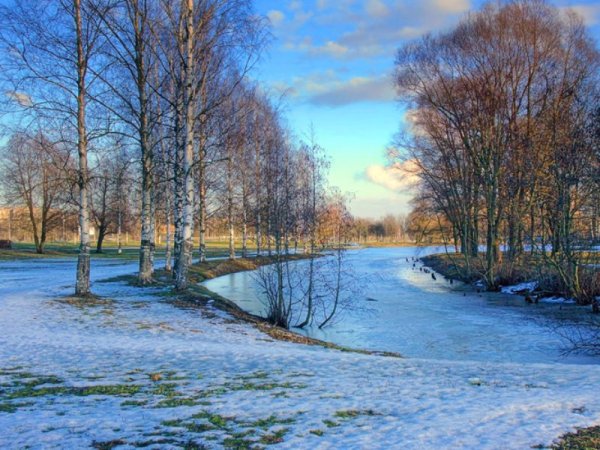 Весна подснежники крокусы