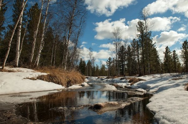 Март в Сибири