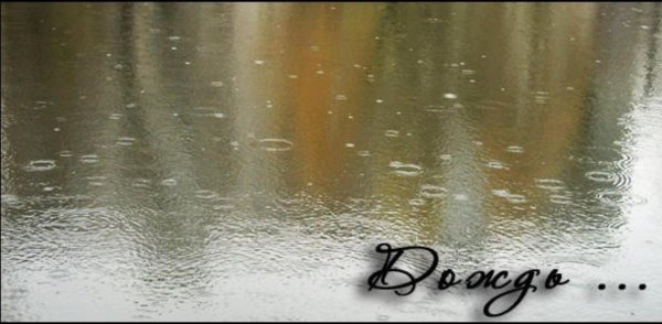 Шутки про дождливую погоду