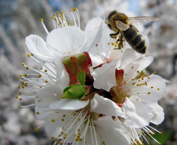 С наступлением весны
