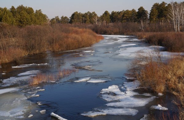 С наступлением весны