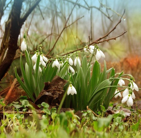 С наступлением весны