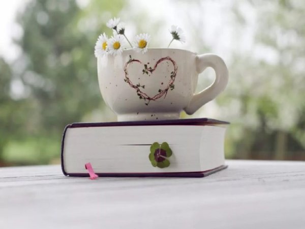 Волшебное утро