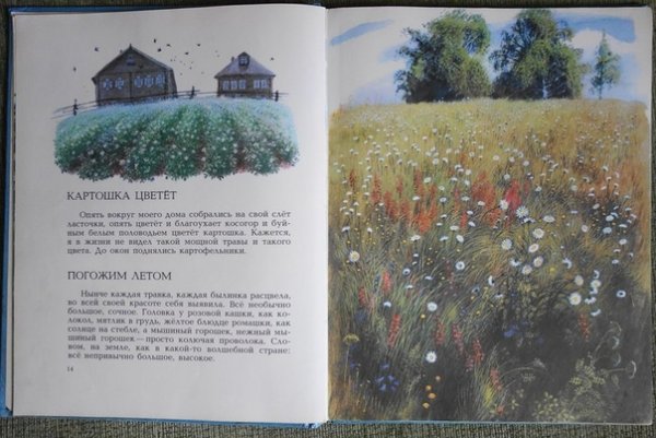 Художник Валерий Попов картины деревня