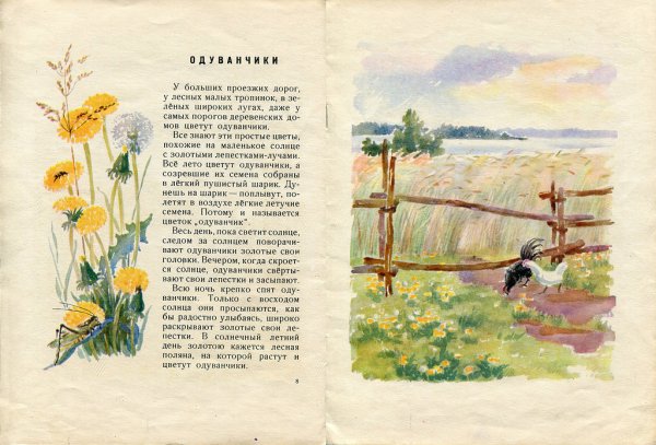 Родная деревня рубцов