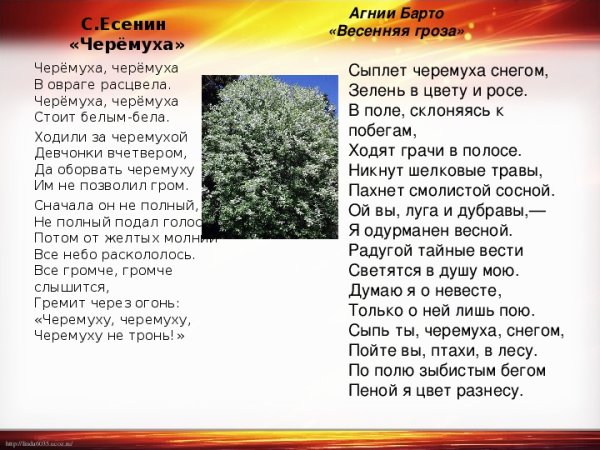 Фёдор Александрович Абрамов о чём плачут лошади