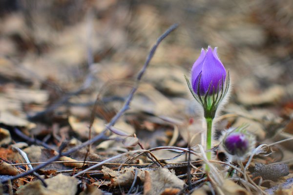 Весна в Забайкалье