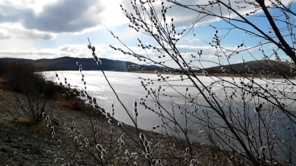 Река Забайкалья весной