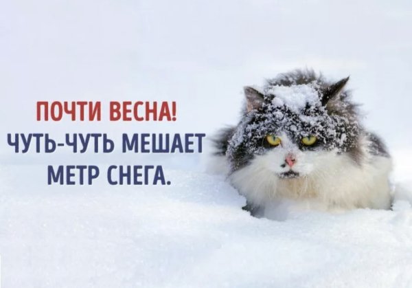 Шутки про снег в апреле