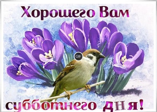 Солнечных весенних выходных