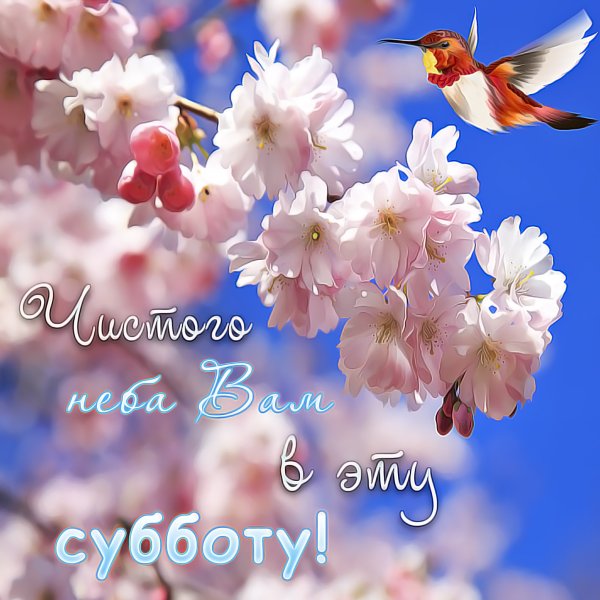 Прекрасных солнечных выходных
