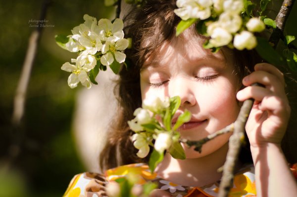 Ощущение весны