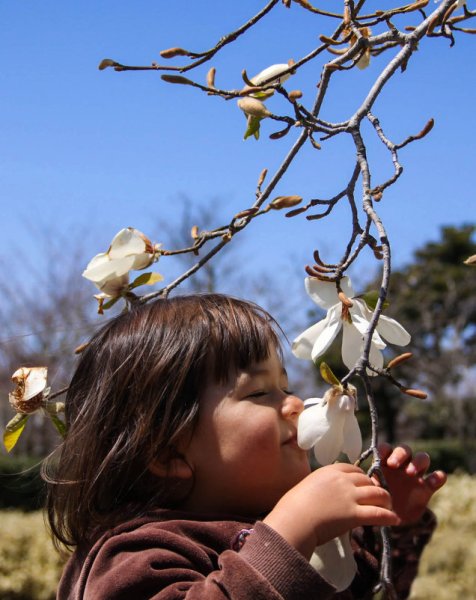 Весенний запах