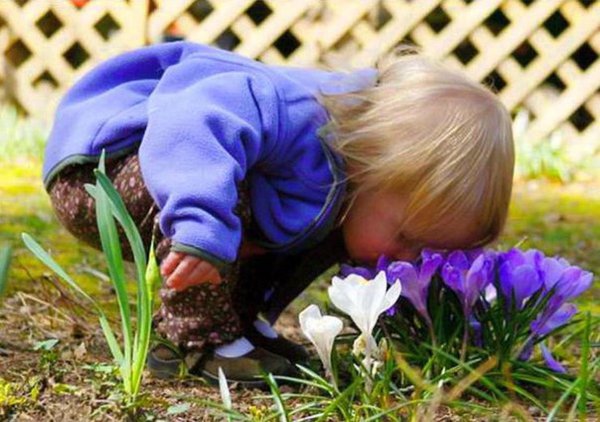 Весна для детей