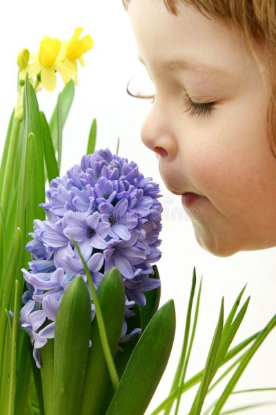 Обоняние для детей