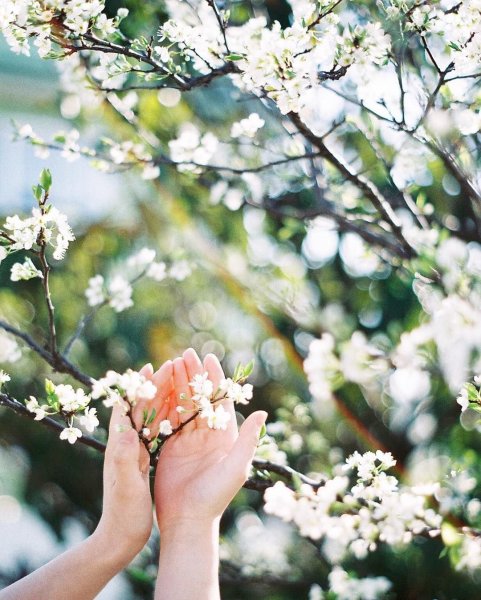 Весна на аву