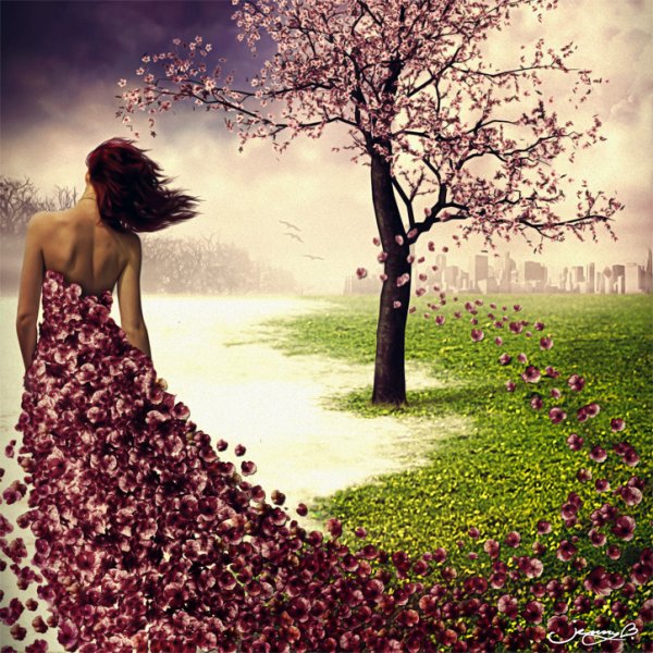 Весенние зимние букеты