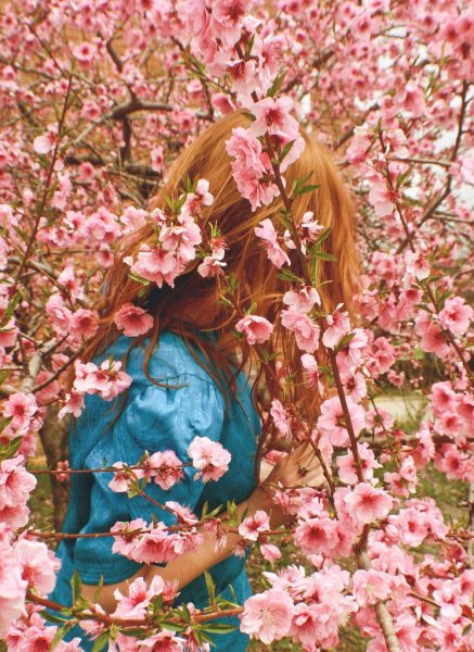 Хочется весны и тюльпанов