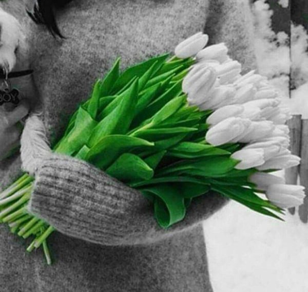 Девушка весной со спины