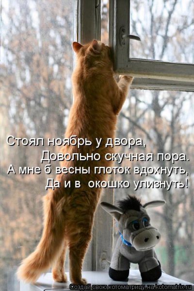 Пятница солнце Весна