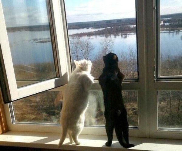 Пахнет весной