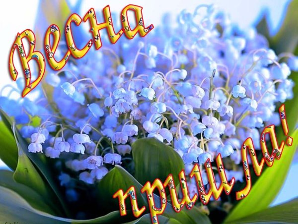 К празднику. 8 Марта