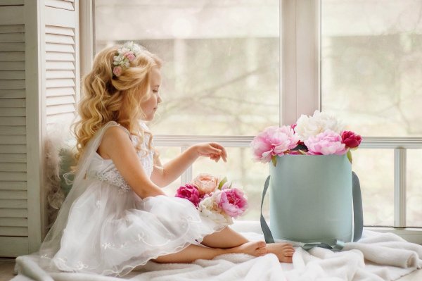 Природа красота романтика