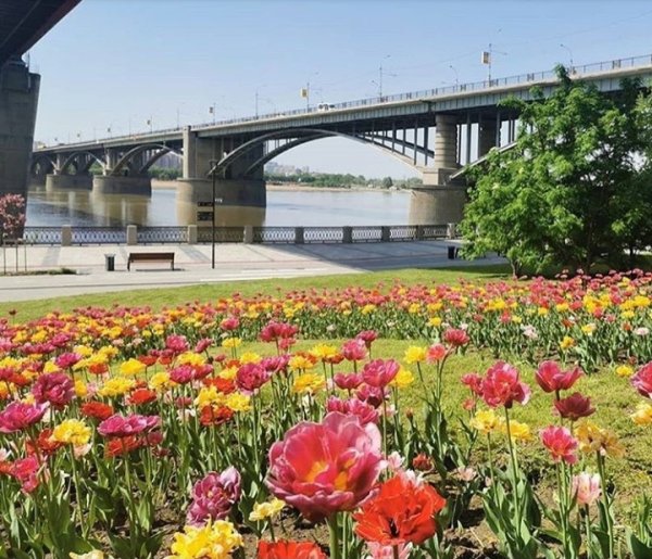 Весенний Новосибирск